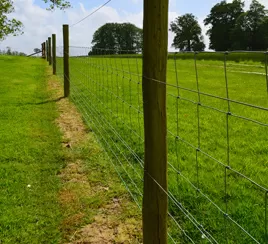 Ranch management