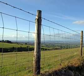 Property boundary