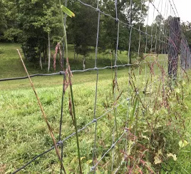 Wildlife control