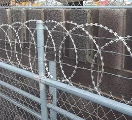 Border Guard