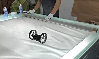 Mesh Inspection