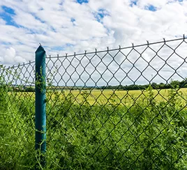 Garden Fencing ﻿