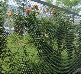 Planting protection