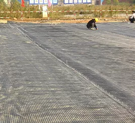 Road protection