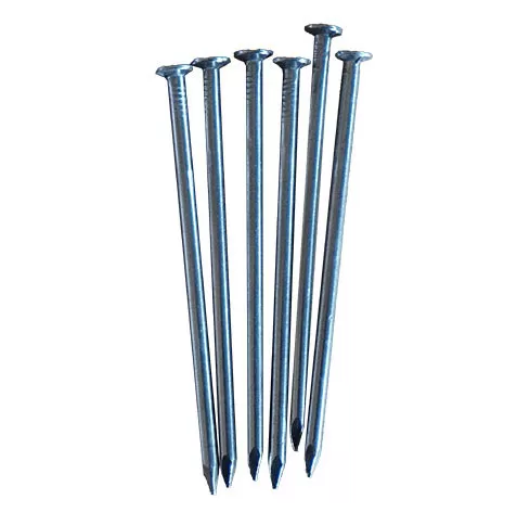 Custom Common Nail